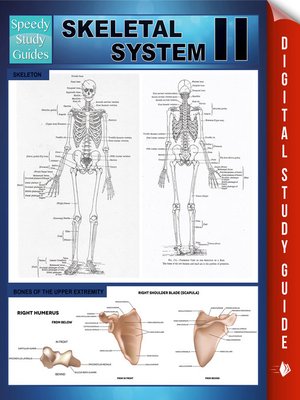 cover image of Skeletal System II